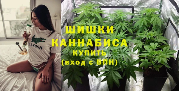 бутират Богородицк