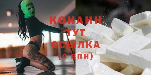 гашиш Богданович