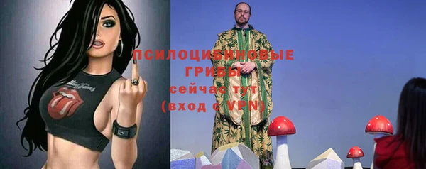 а пвп мука Богородск
