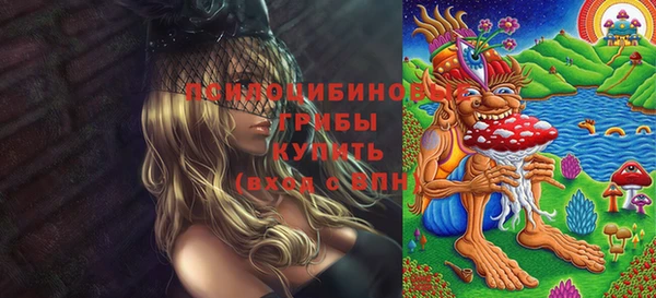 гашиш Богданович