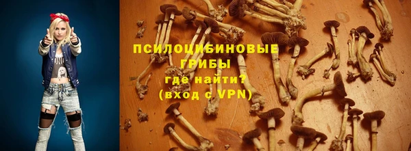 гашиш Богданович
