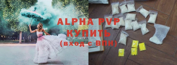 гашиш Богданович