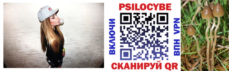 цены наркотик  Крымск  Псилоцибиновые грибы Cubensis 